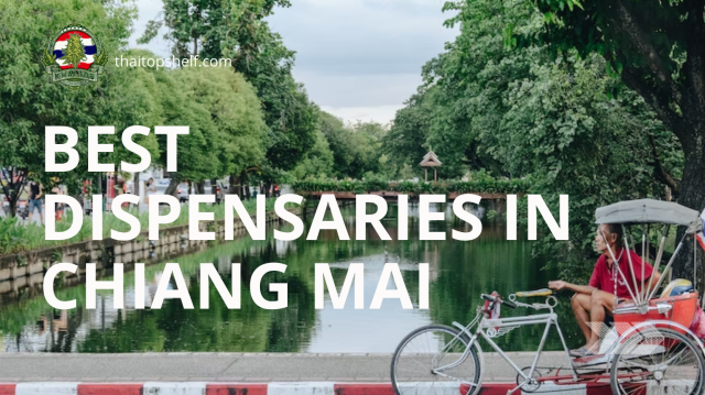 Best Dispensaries in Chiang Mai