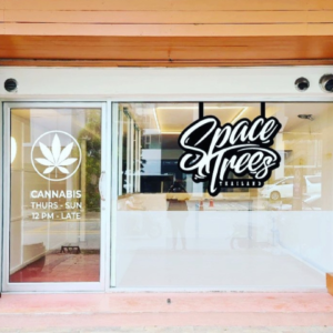 Space Trees store