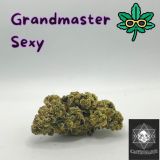 Sexy Grand Master