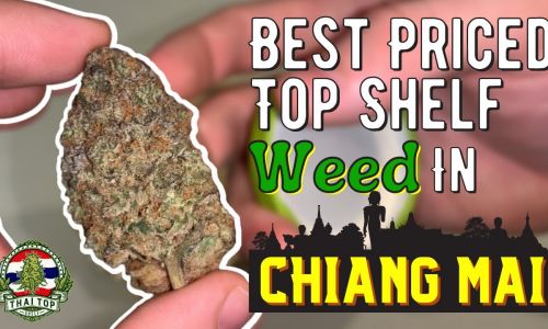 CHEAPEST Top Shelf Weed in Chiang Mai